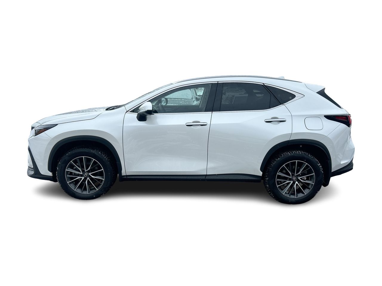 2023 Lexus NX