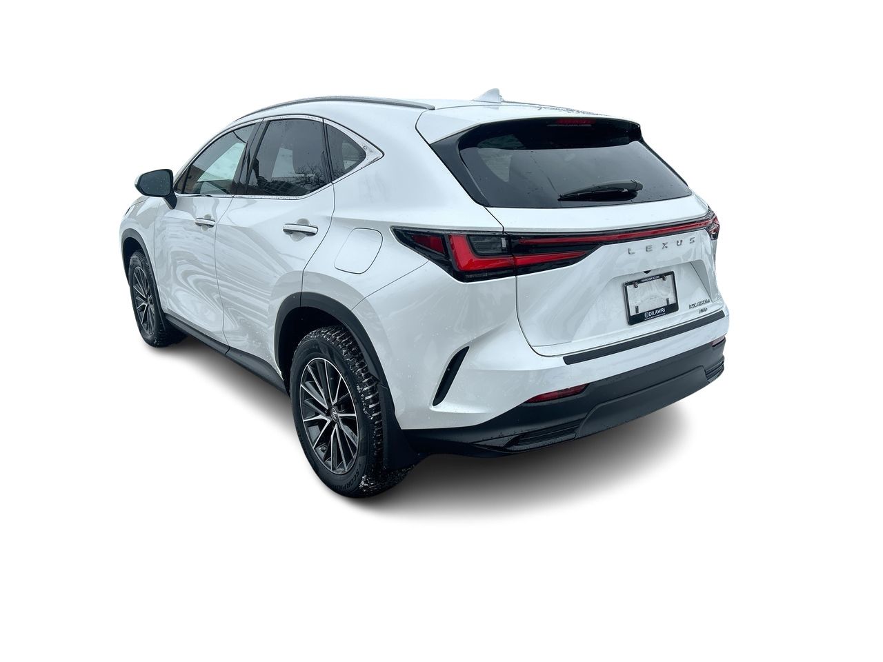2023 Lexus NX