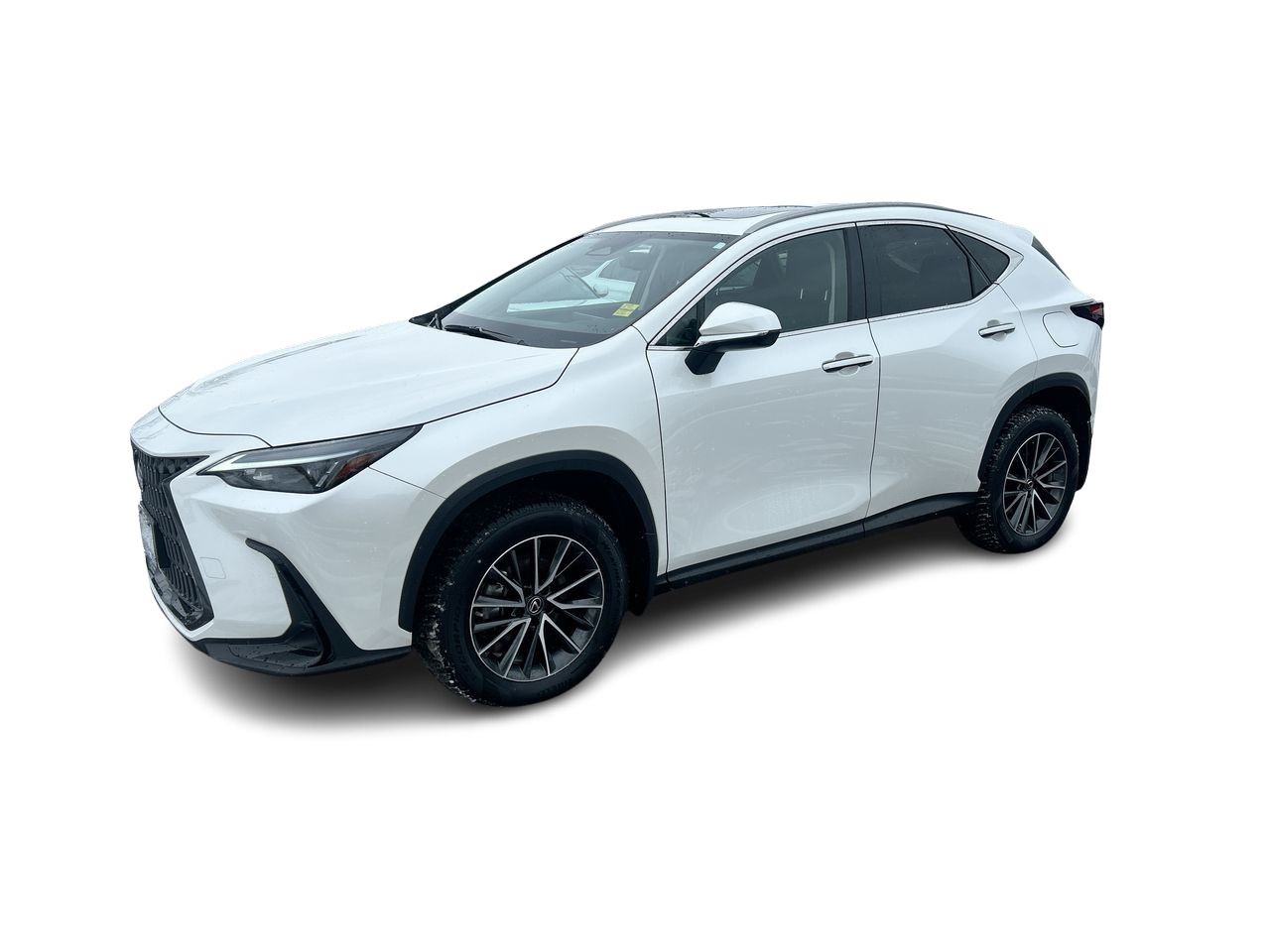 2023 Lexus NX