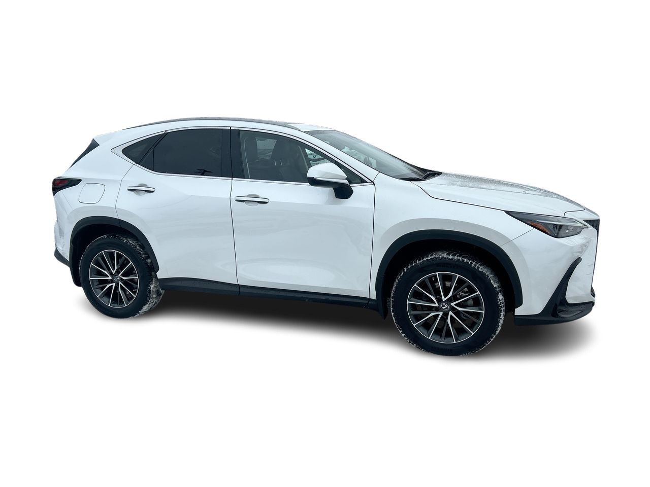 2023 Lexus NX
