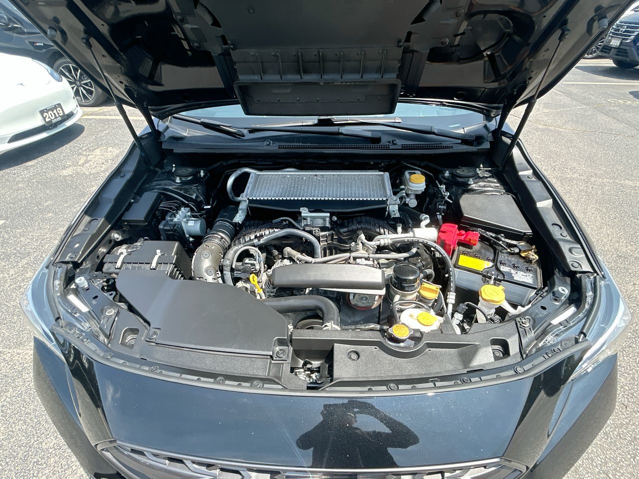 2023 Subaru WRX in Markham, Ontario
