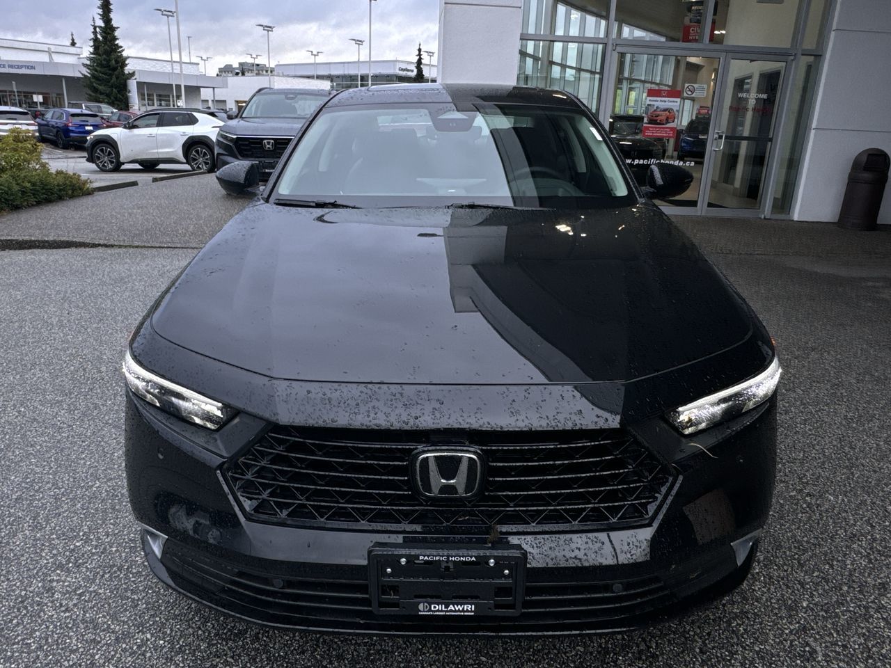 2025 Honda Accord Hybrid in Markham, Ontario