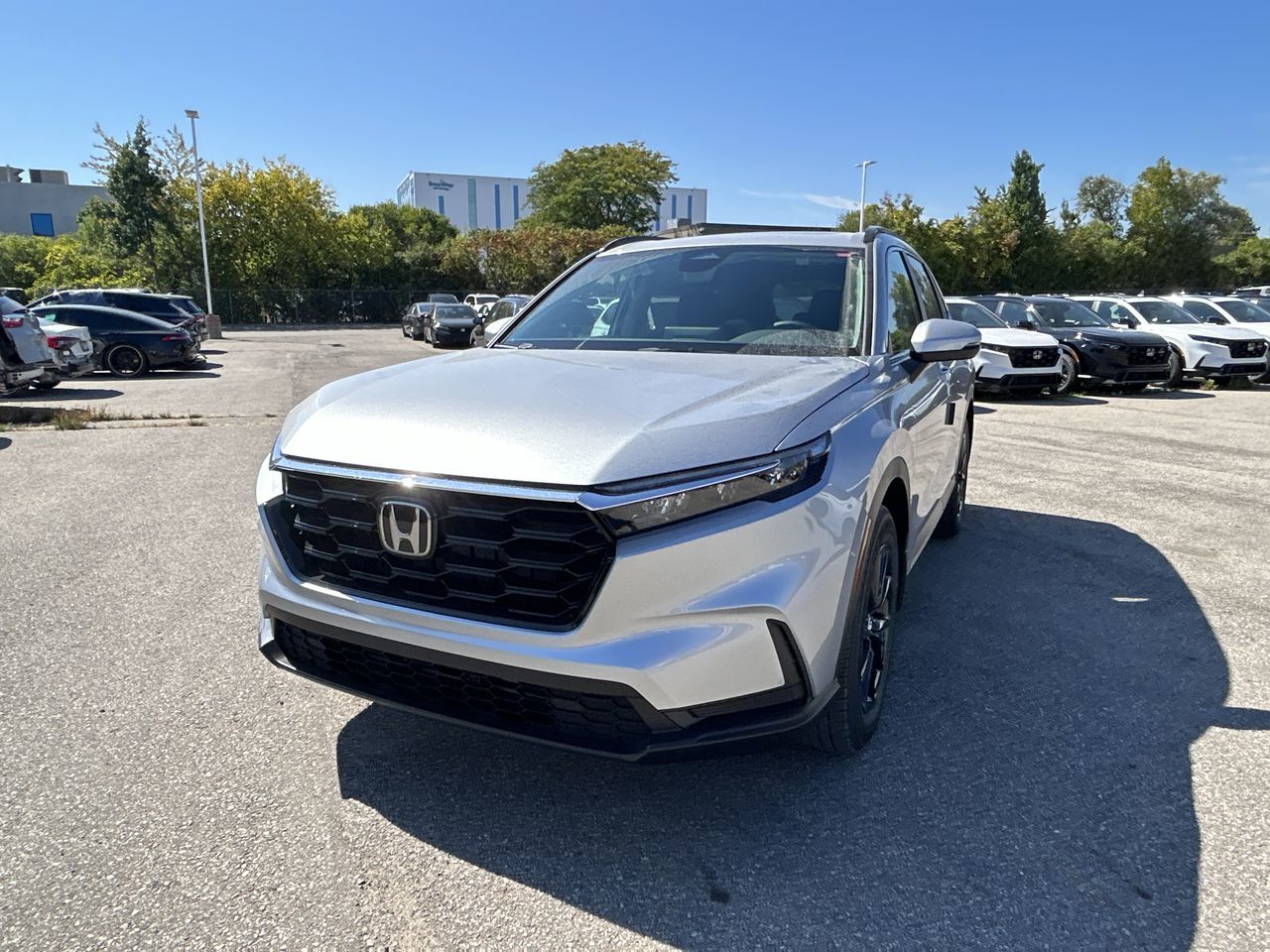2026 Honda CR-V in Markham, Ontario