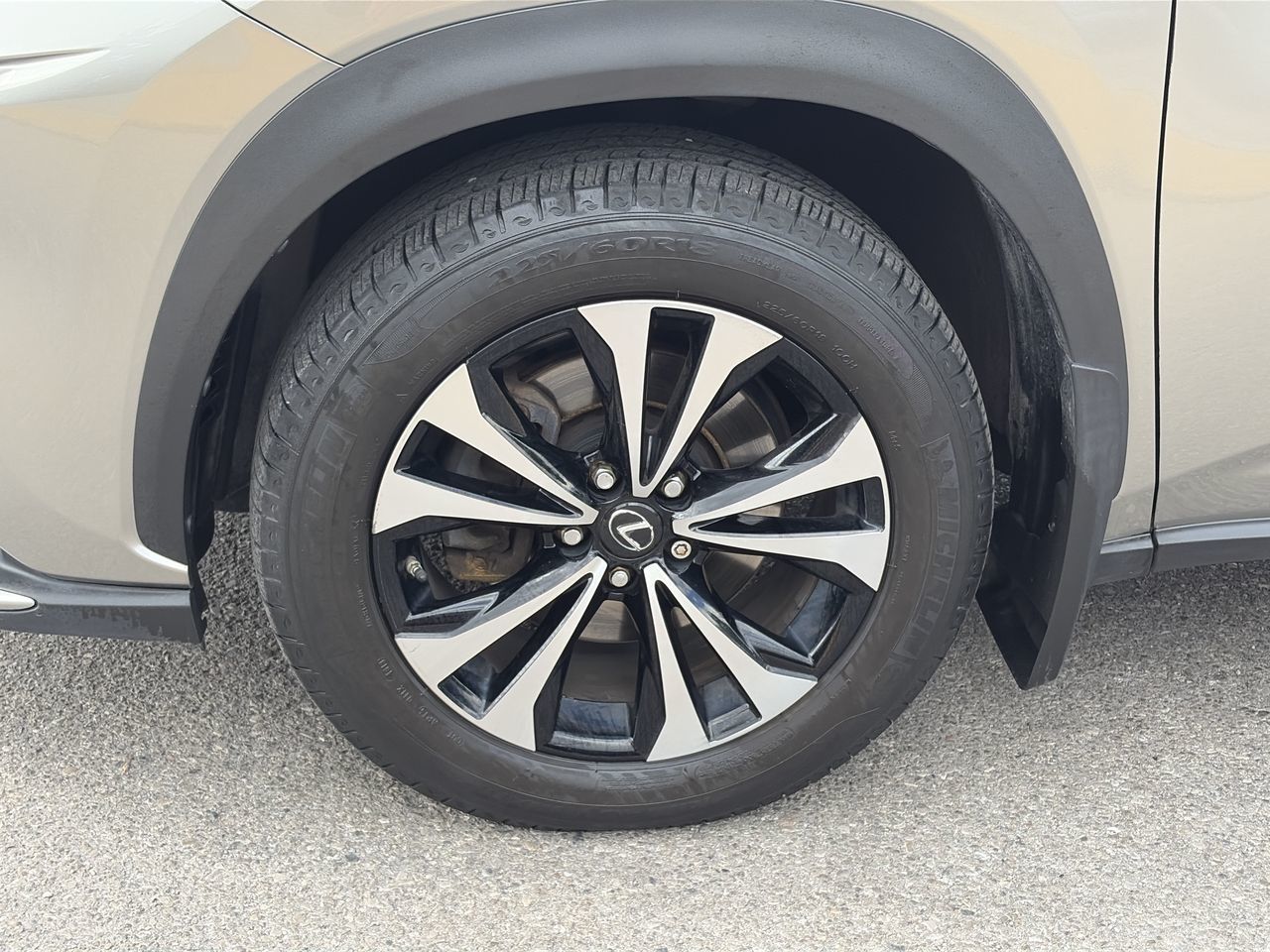 2019 Lexus NX in Markham, Ontario