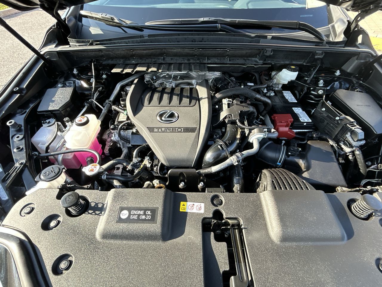 2025 Lexus NX in Markham, Ontario