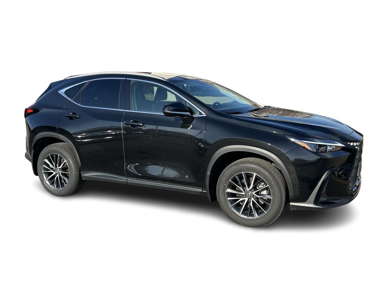2025 Lexus NX in Markham, Ontario