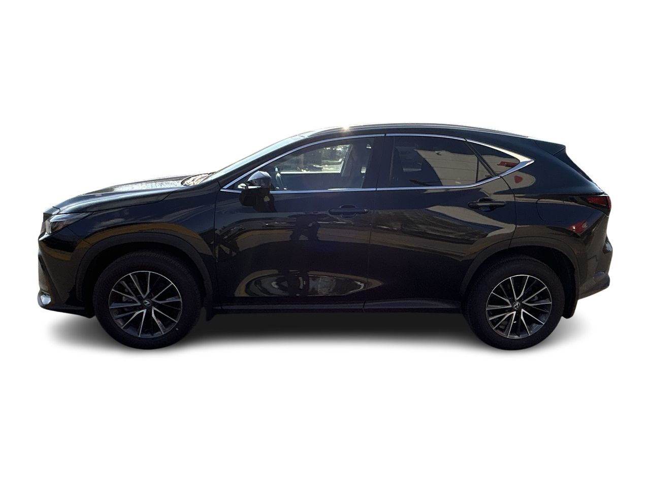 2025 Lexus NX in Markham, Ontario