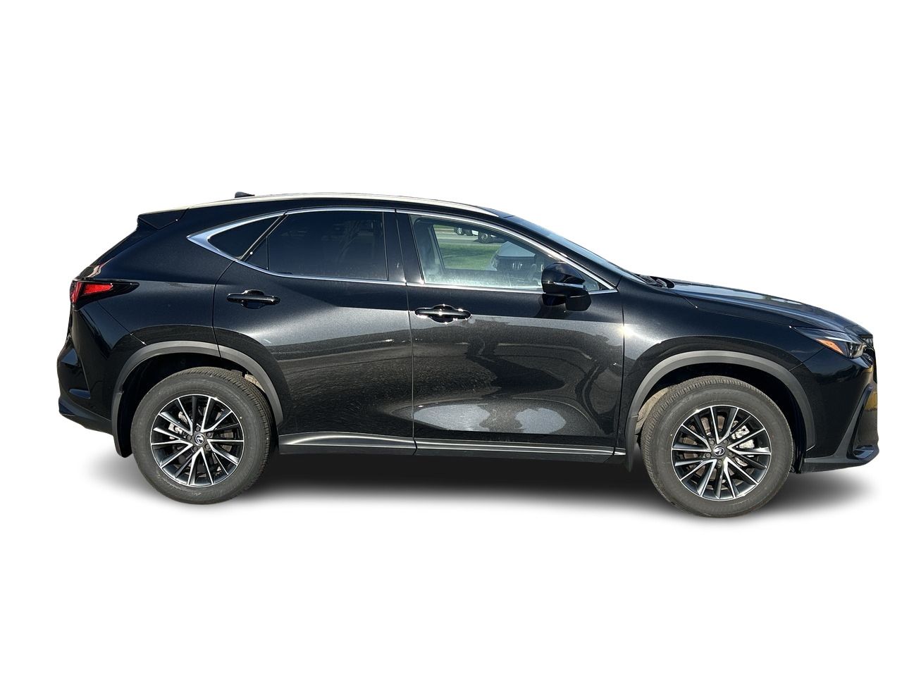 2025 Lexus NX in Markham, Ontario