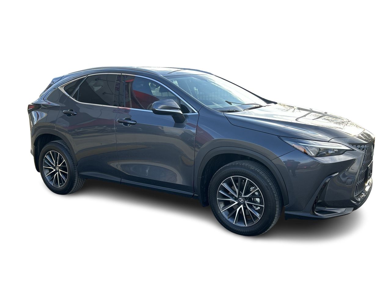 2026 Lexus NX in Markham, Ontario