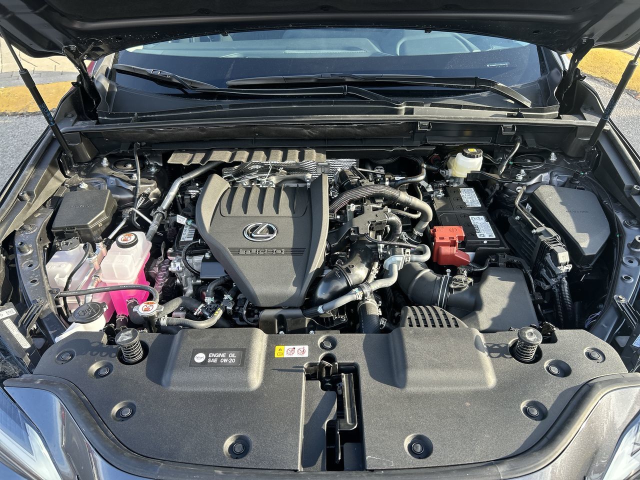 2026 Lexus NX in Markham, Ontario