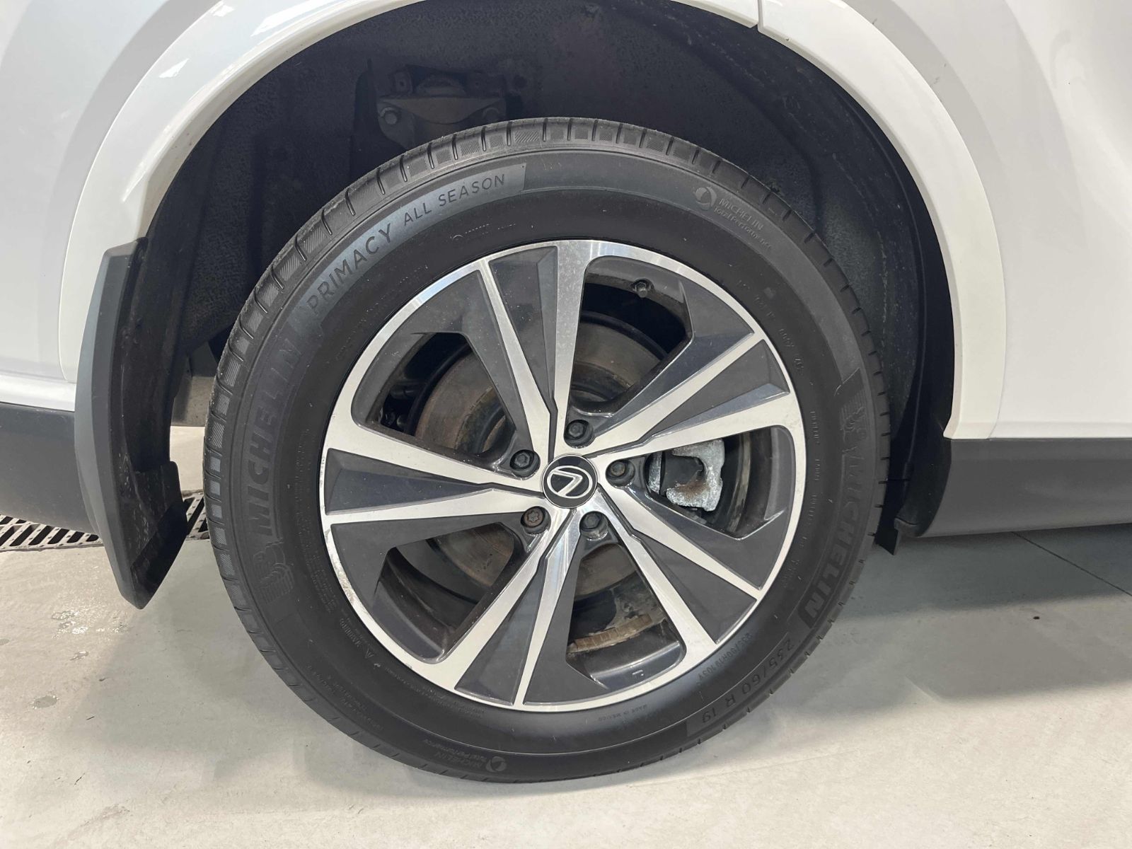 2024 Lexus NXh