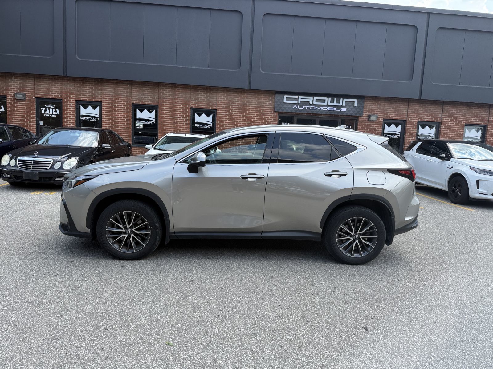 2024 Lexus NXh