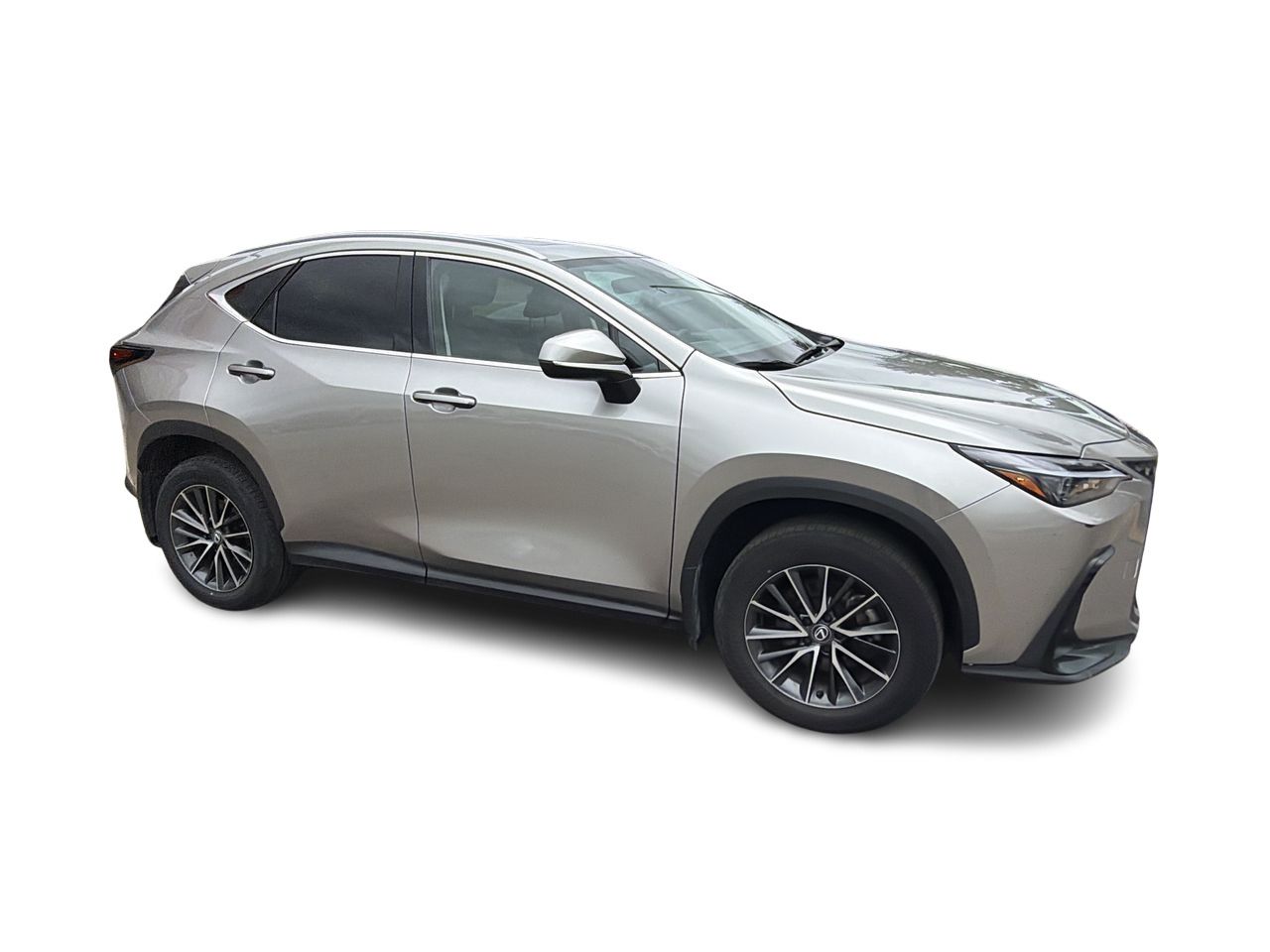 Lexus NXh  2024 à Markham, Ontario