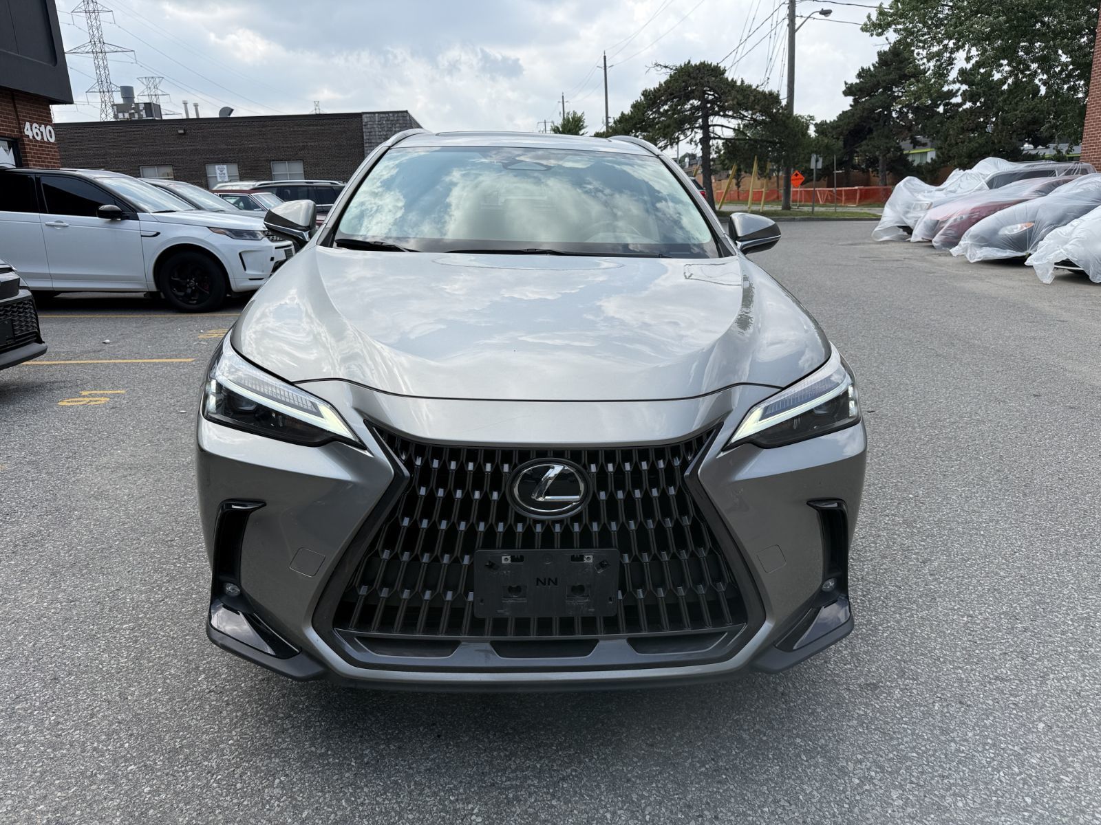 2024 Lexus NXh