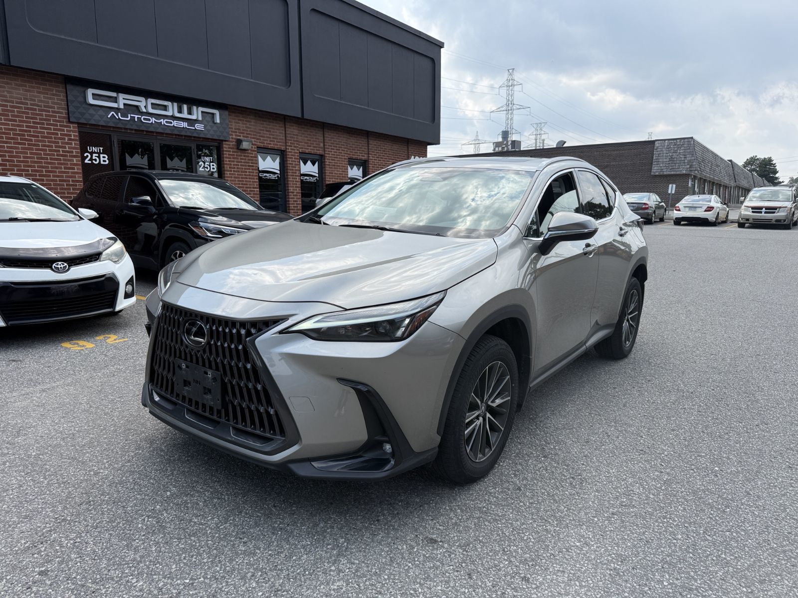2024 Lexus NXh
