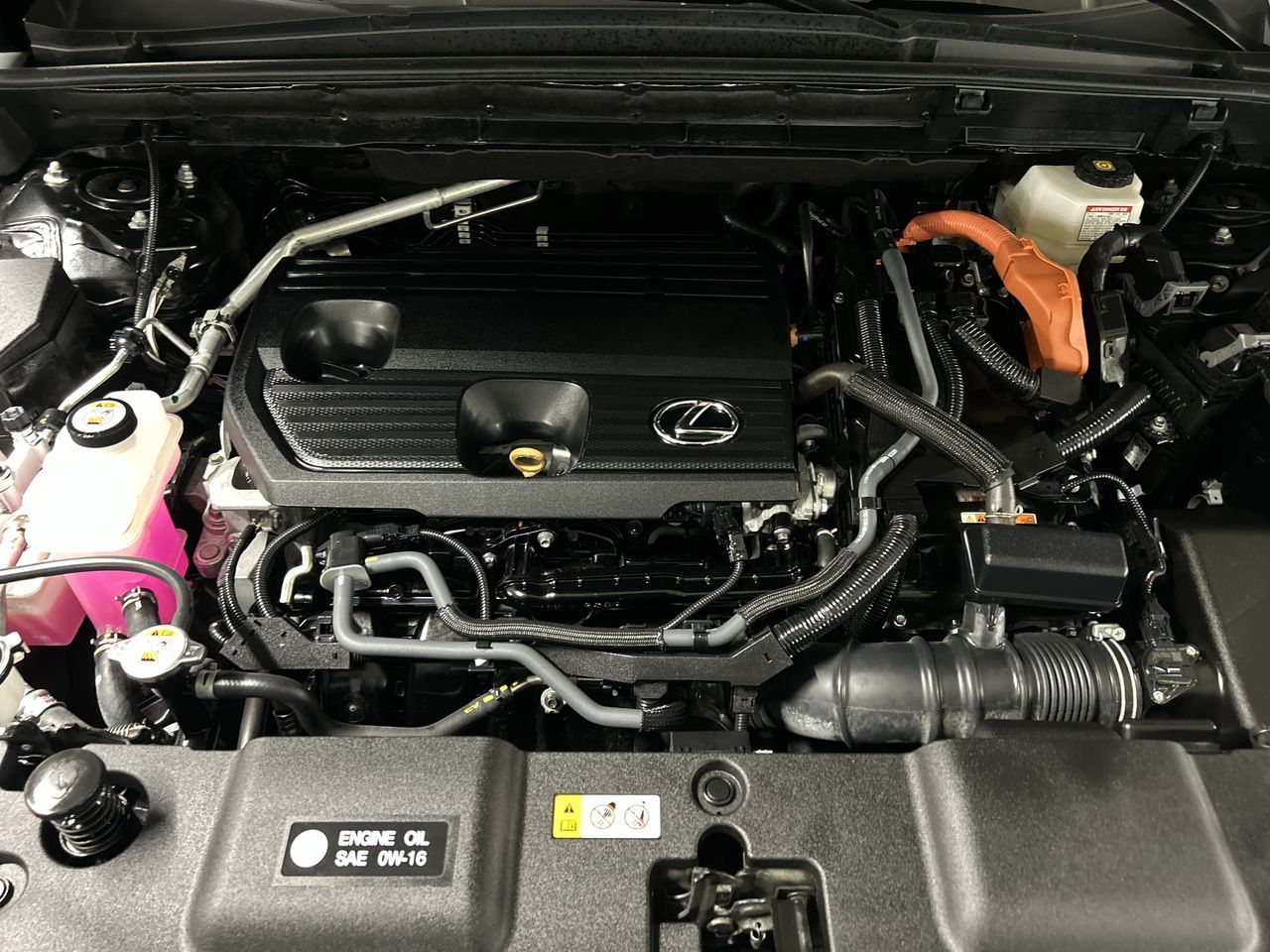 Lexus NXh  2025 à Markham, Ontario