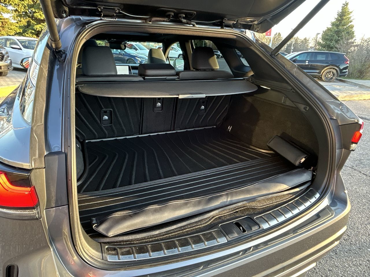 2023 Lexus RX