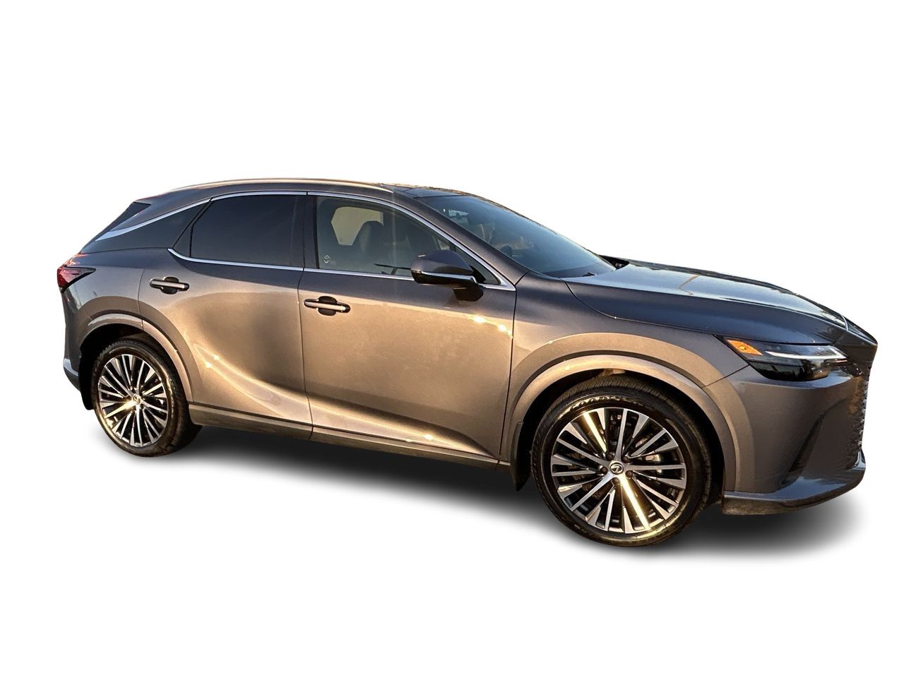 2023 Lexus RX