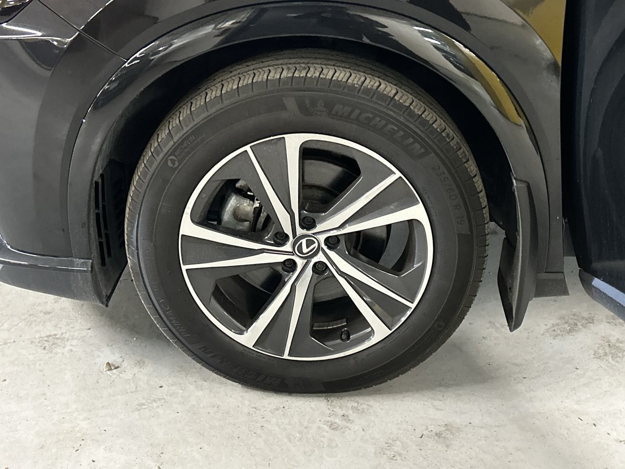 2024 Lexus RX