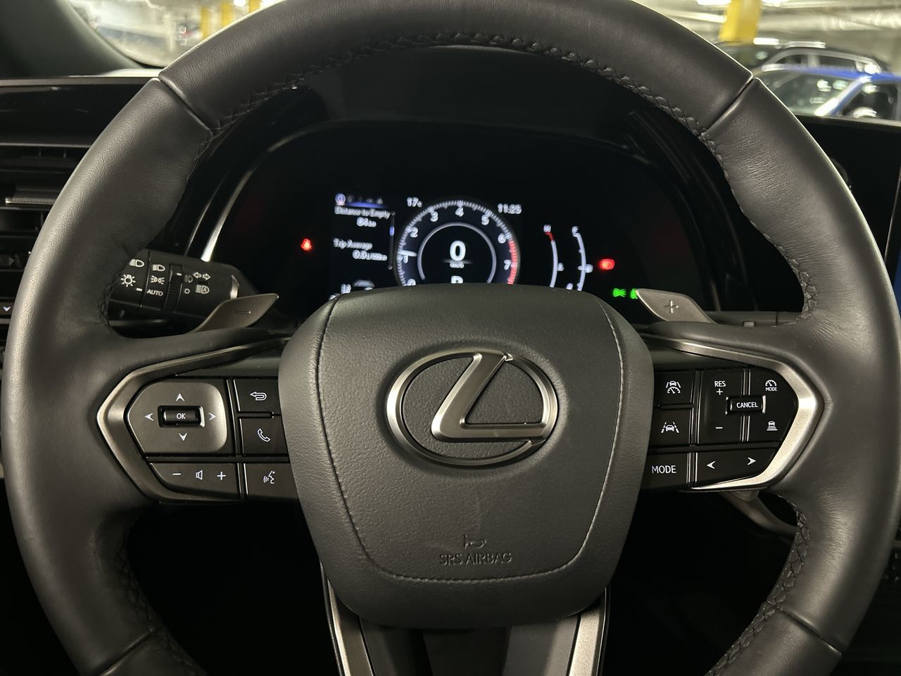 2024 Lexus RX