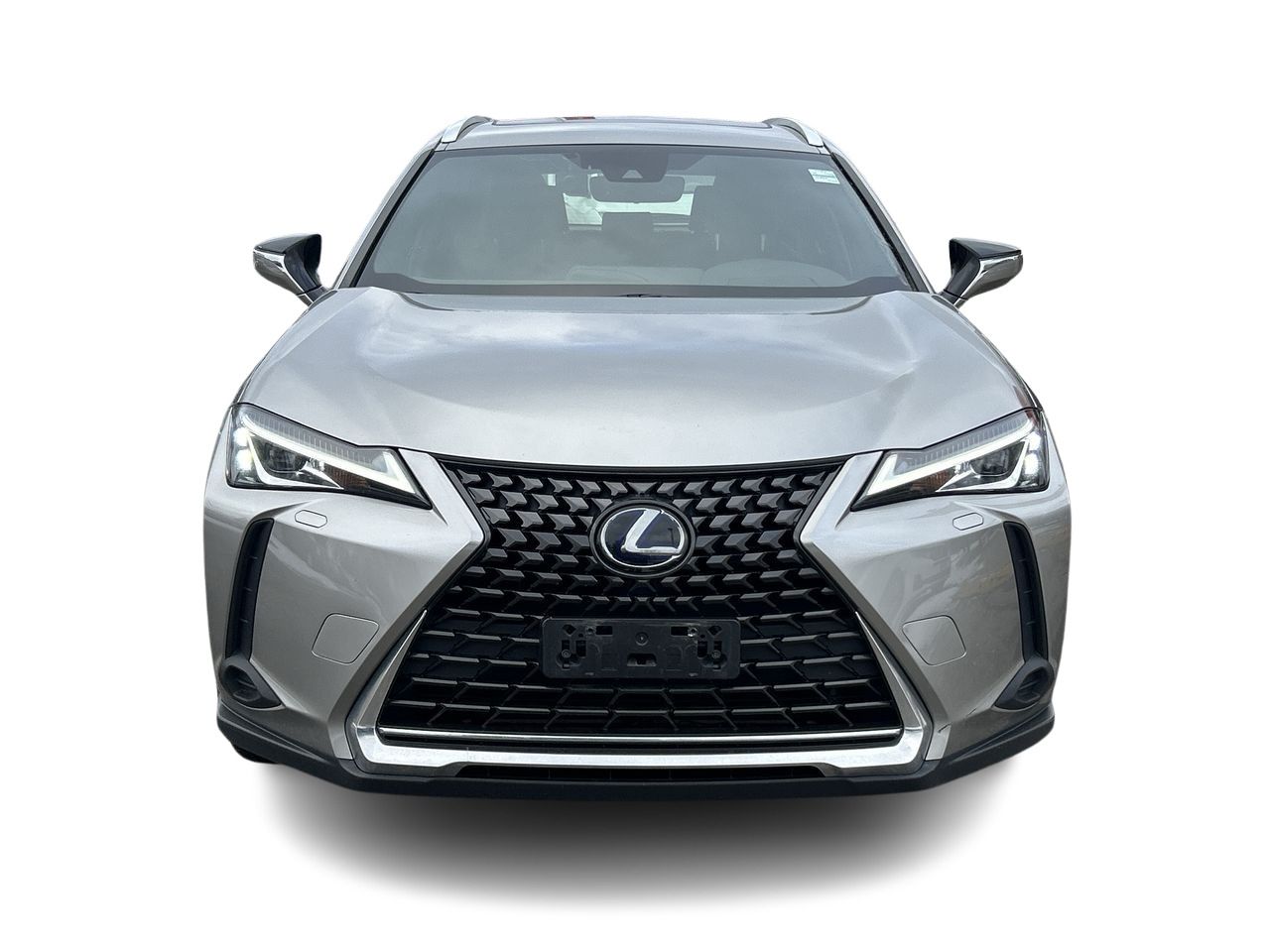 2020 Lexus UX 250h