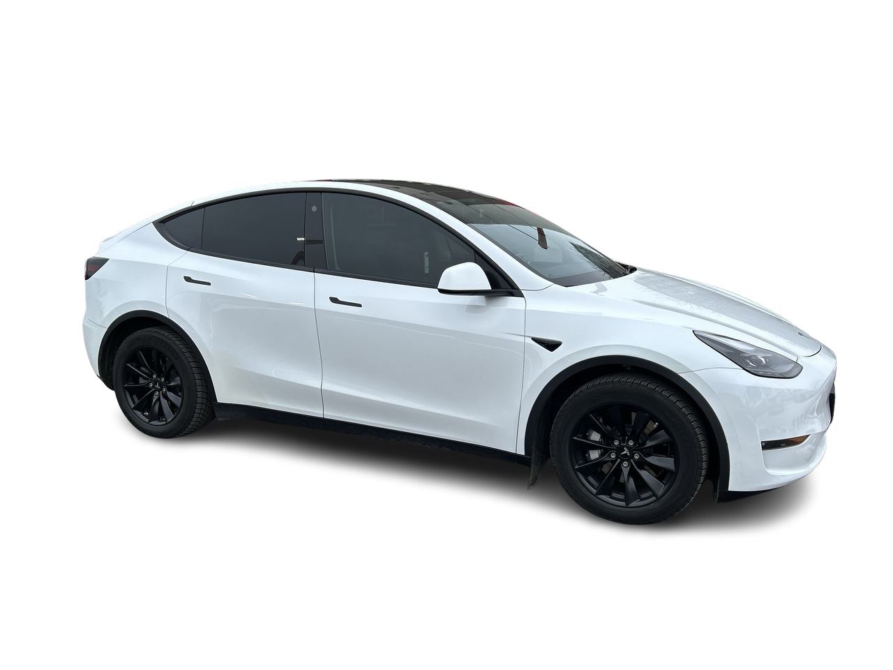 Tesla Model Y  2023 à Markham, Ontario