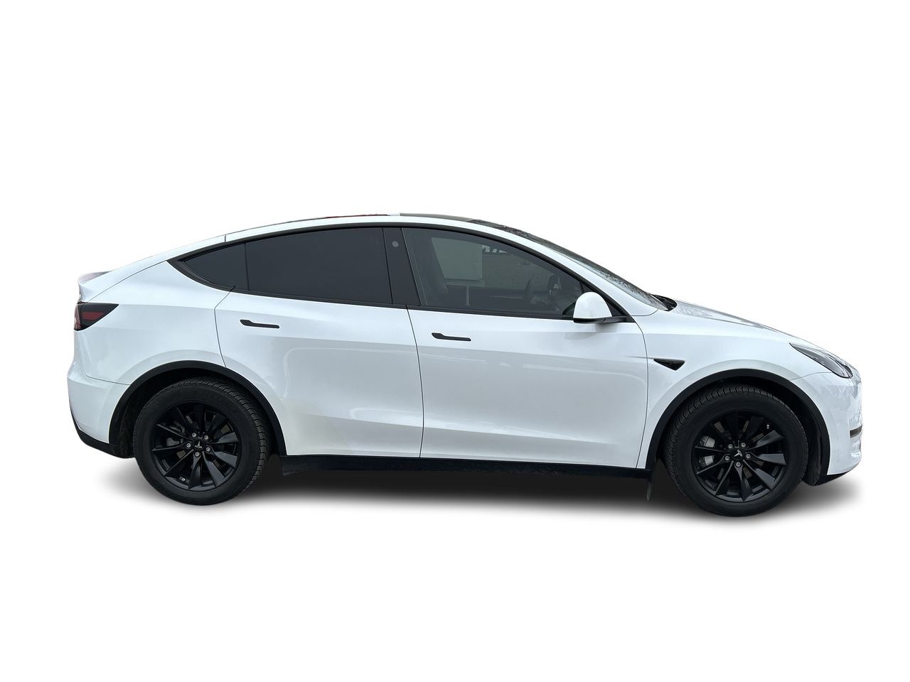 Tesla Model Y  2023 à Markham, Ontario