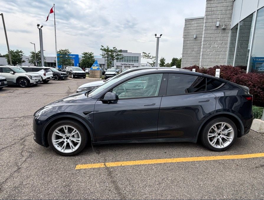 2024 Tesla Model Y