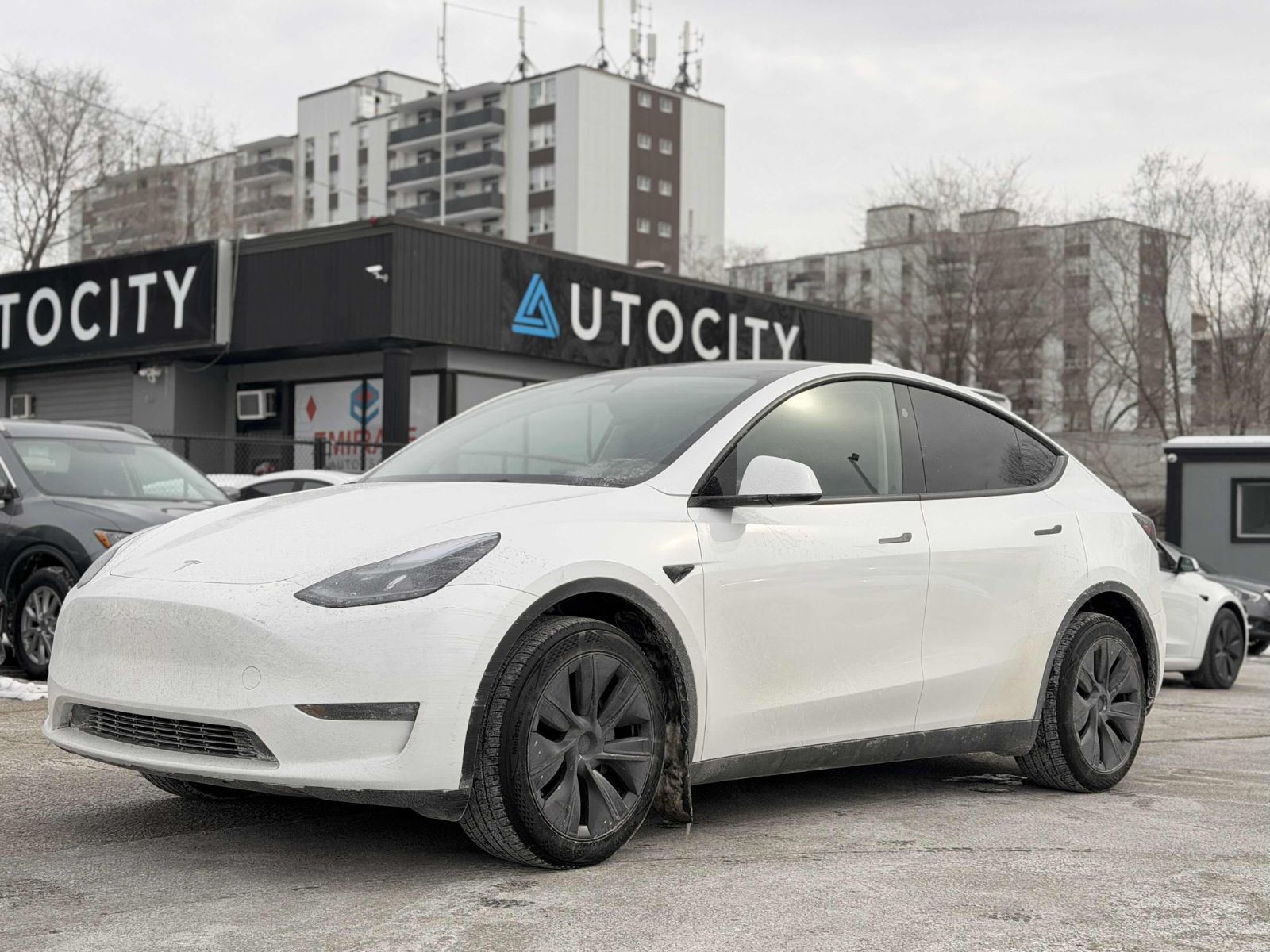 2025 Tesla Model Y