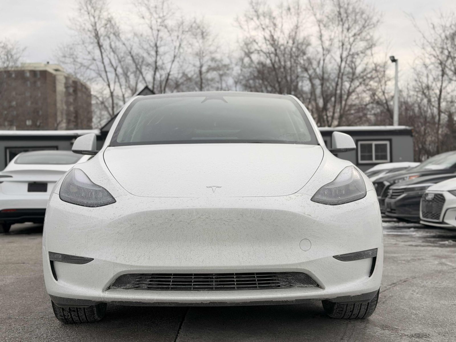 2025 Tesla Model Y