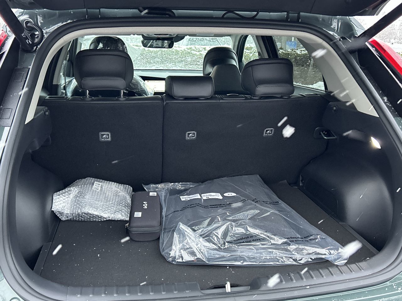 2025 Kia Niro EV in Markham, Ontario