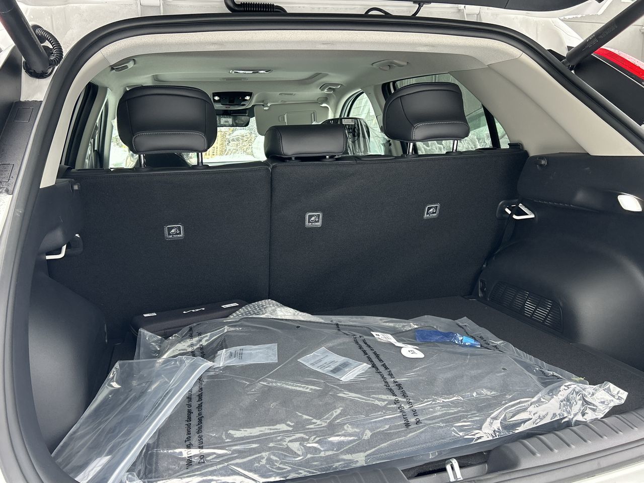 2026 Kia Niro EV