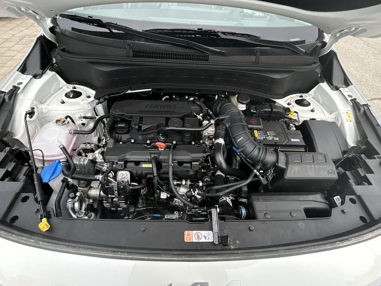 2025 Kia Seltos in Markham, Ontario