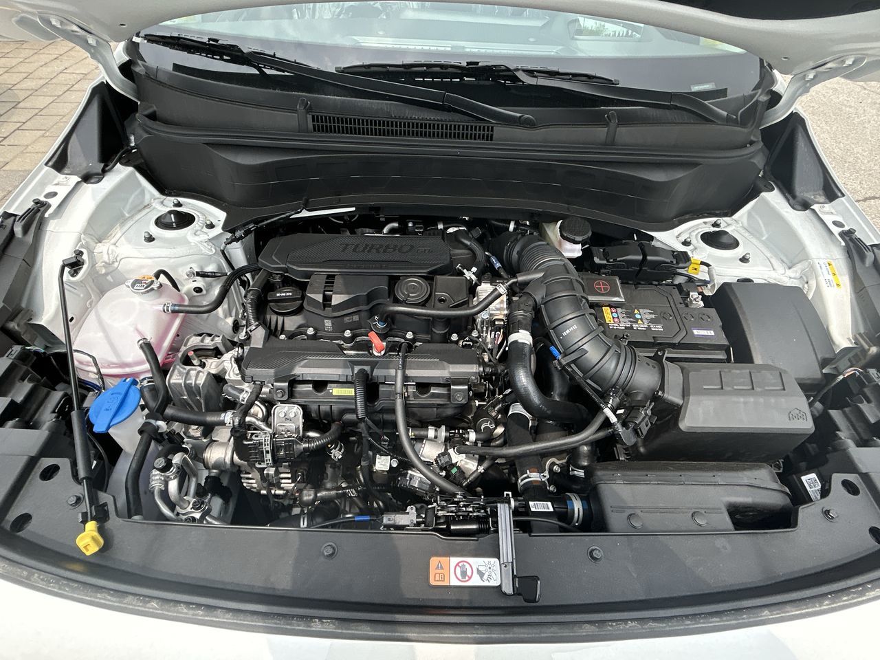 2025 Kia Seltos in Markham, Ontario