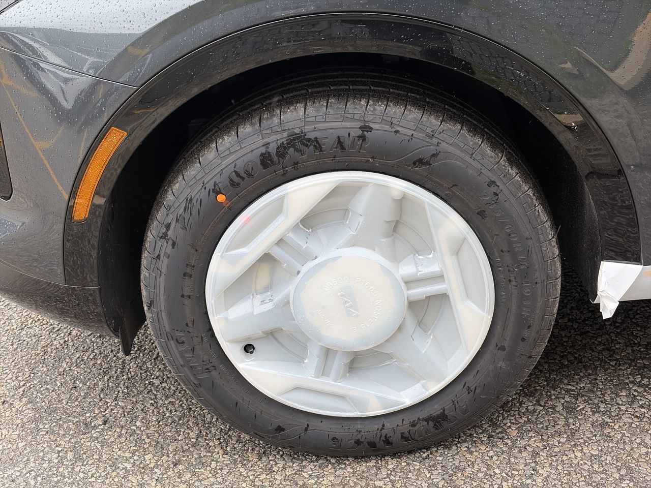 2026 Kia Sportage HEV in Markham, Ontario