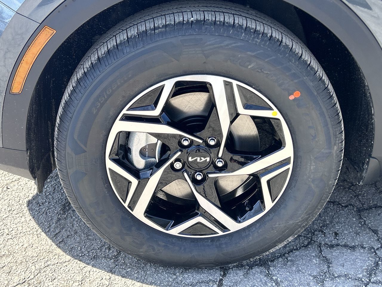 2025 Kia Sportage in Markham, Ontario