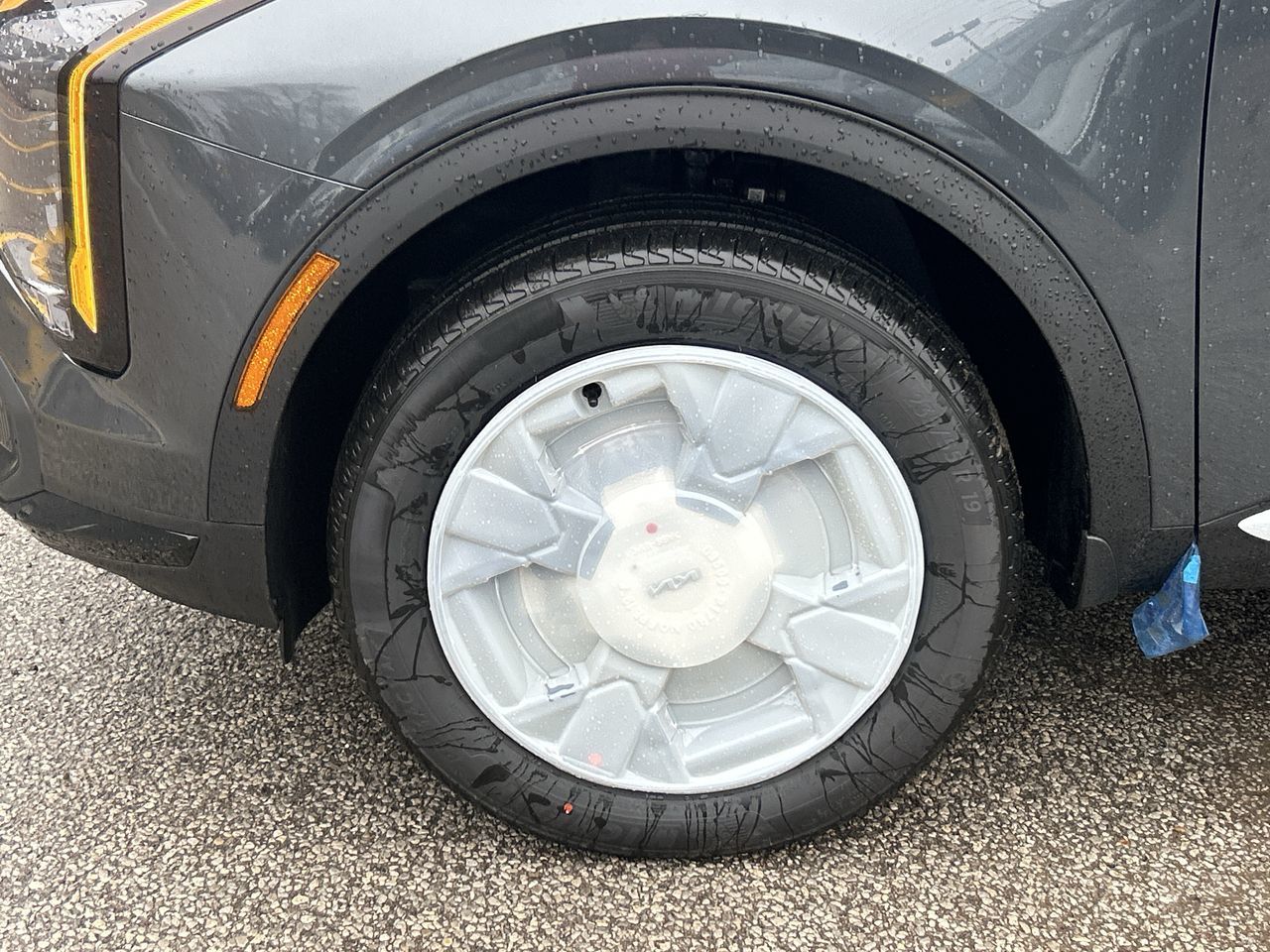 2026 Kia Sportage in Markham, Ontario