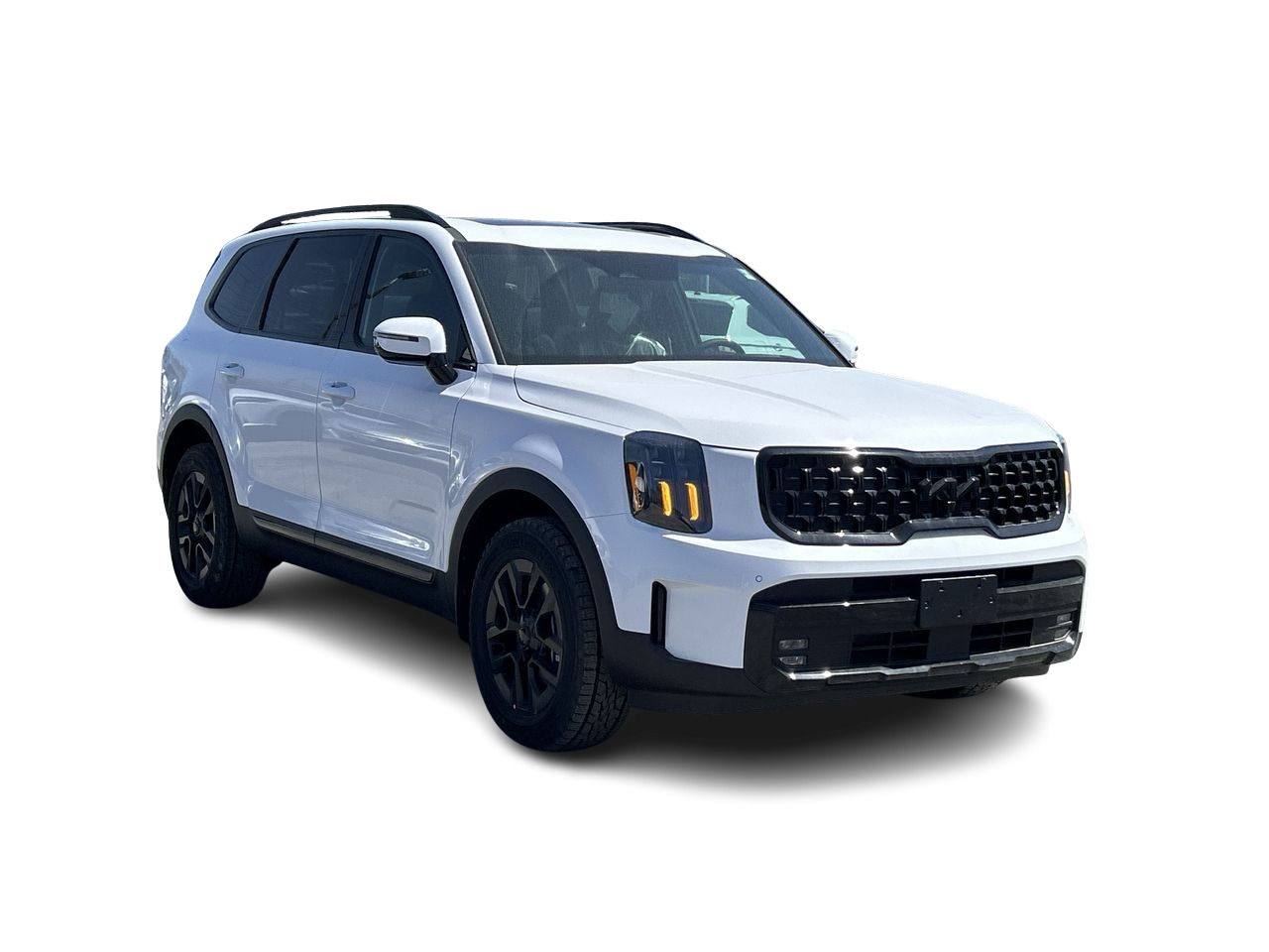 2025 Kia Telluride in Markham, Ontario
