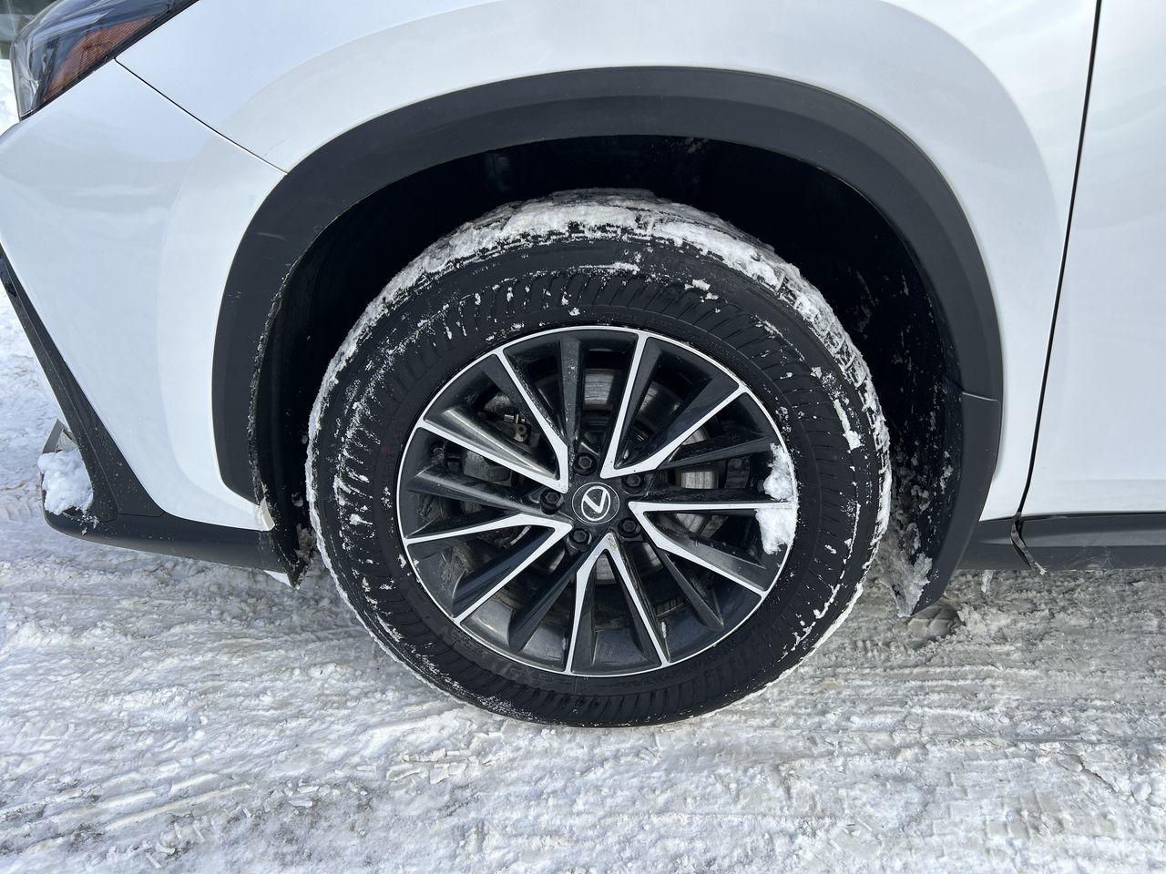 2024 Lexus NX in Markham, Ontario