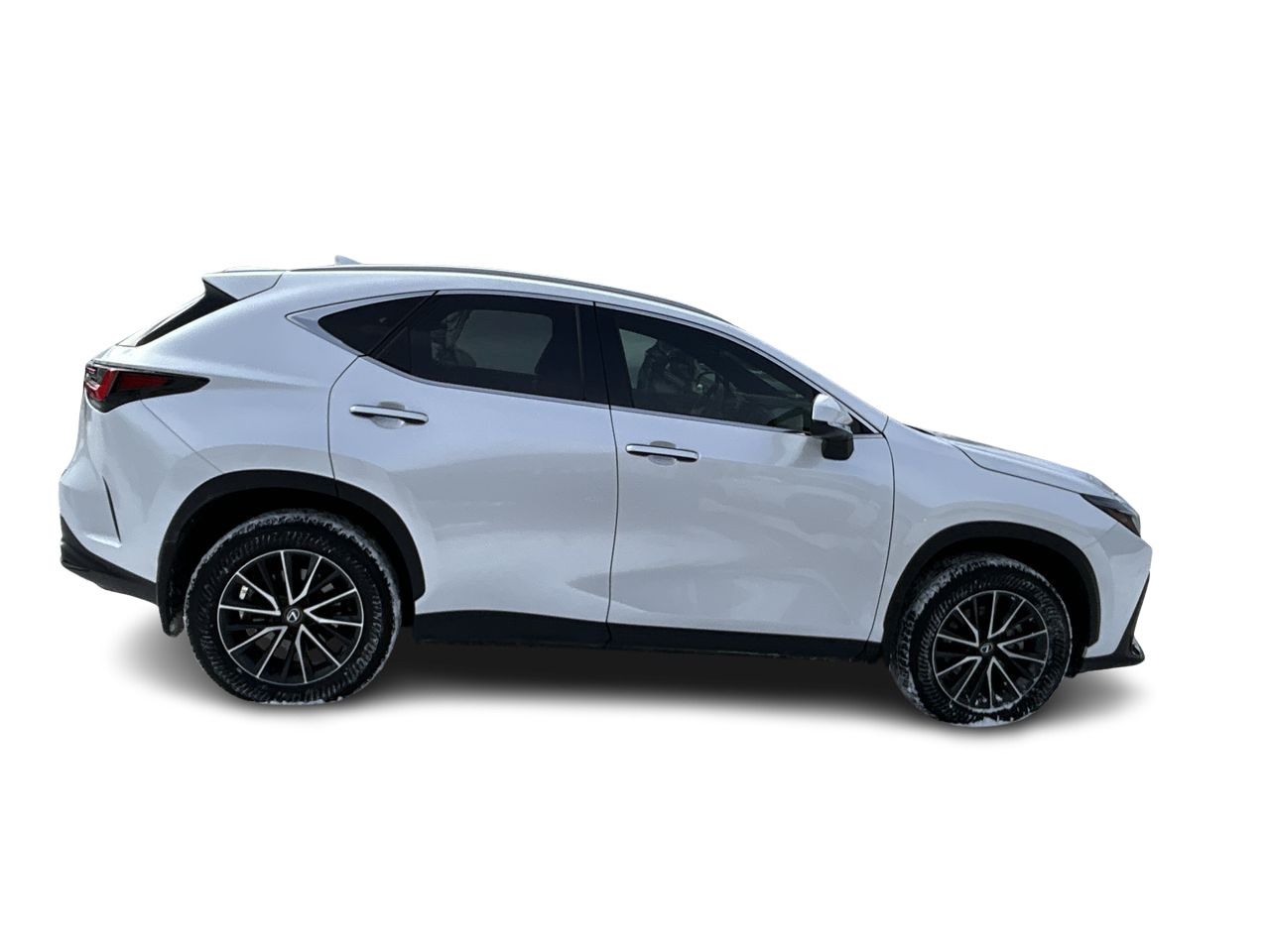 2024 Lexus NX in Markham, Ontario