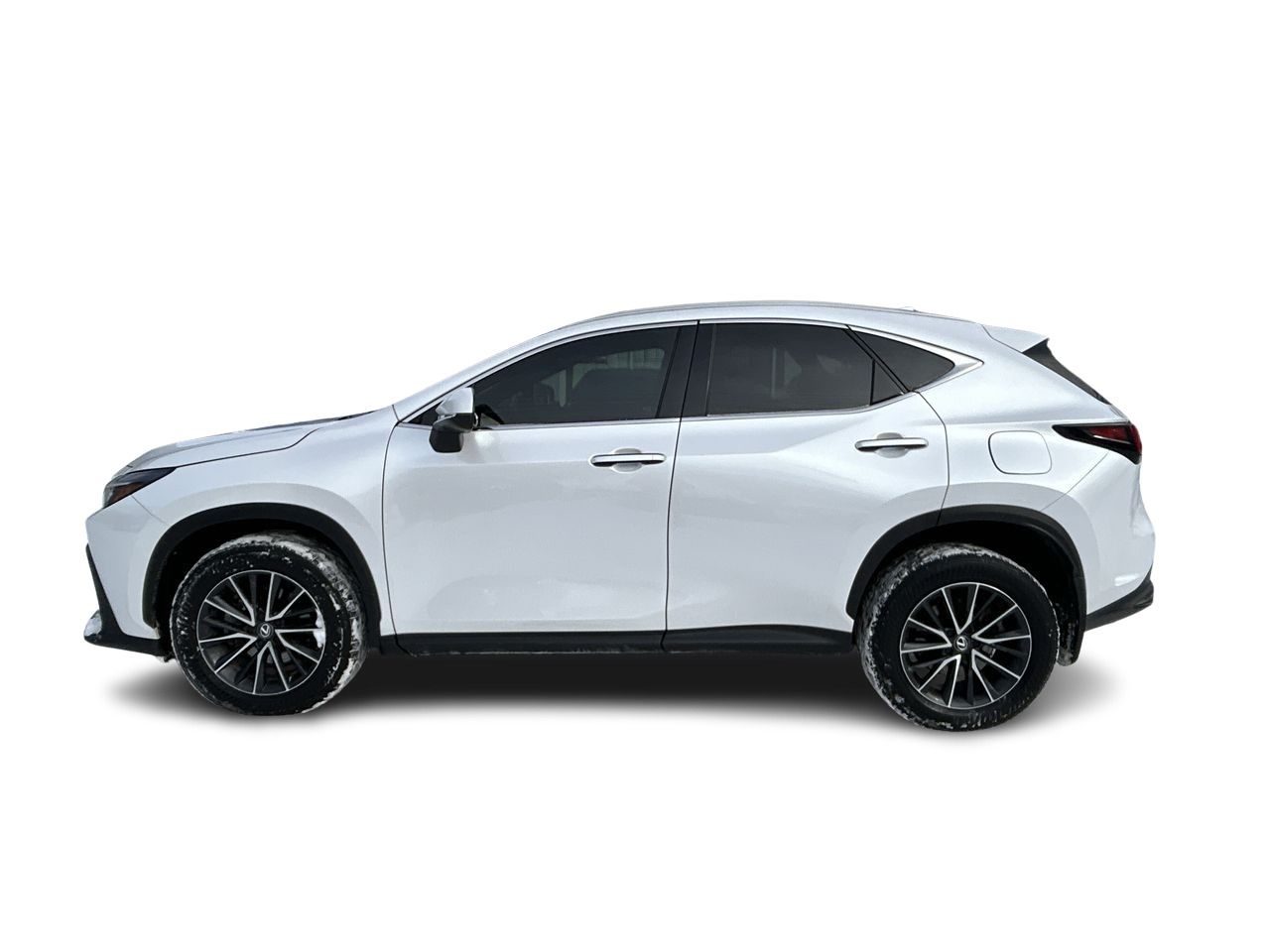 2024 Lexus NX in Markham, Ontario