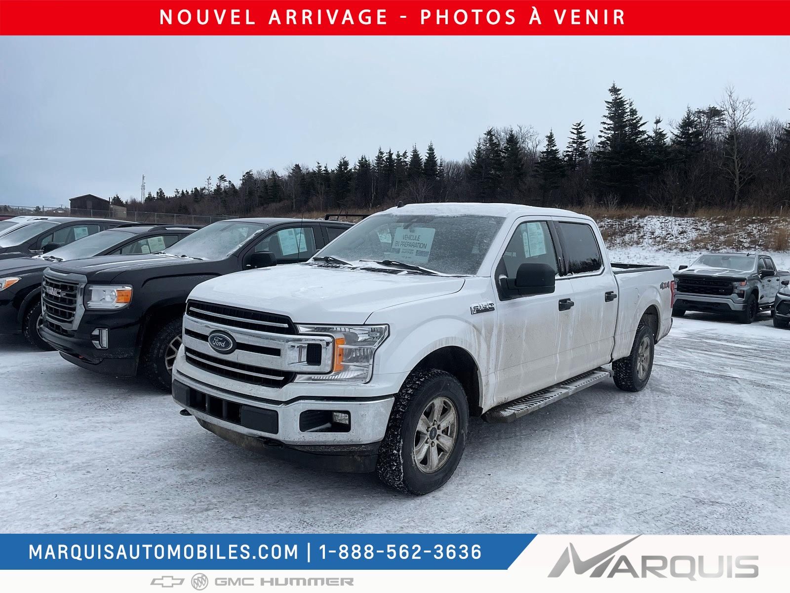 Ford F-150 XLT SUPERCREW 4WD V6 3.5L 2019