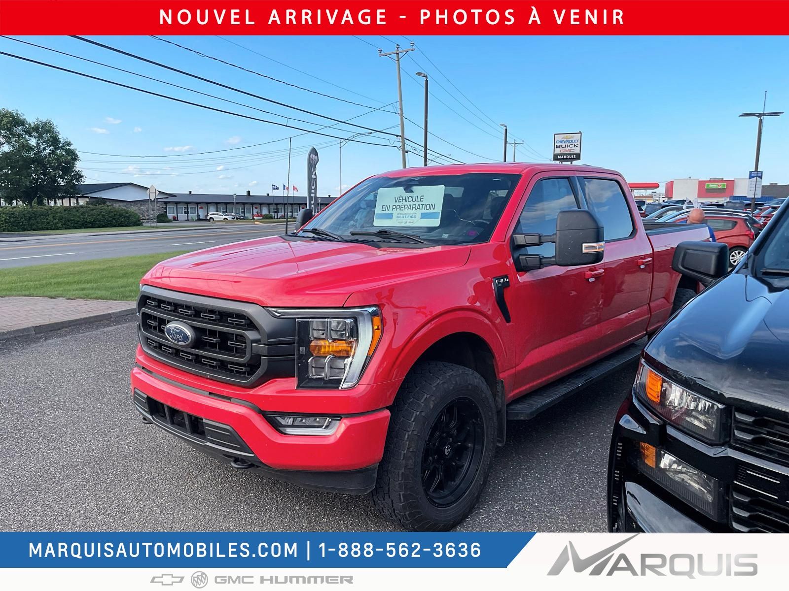2023 Ford F-150 XLT 4X4 3.5L V6 BITURBO MAGS