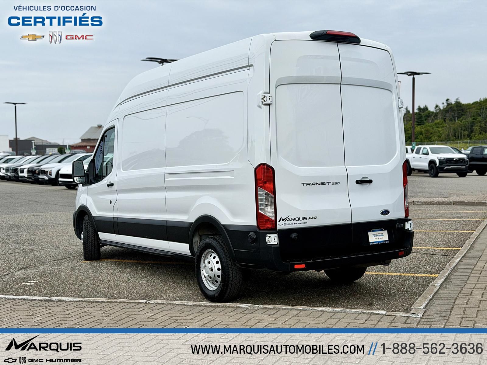 Ford Transit Cargo Van 2024 — photo 6