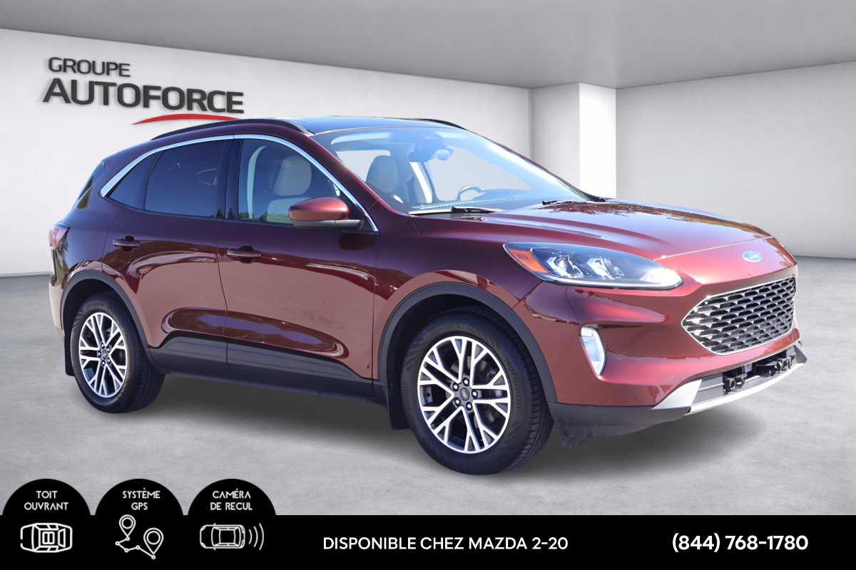 Photo Ford Escape SEL Hybrid 2021 #5