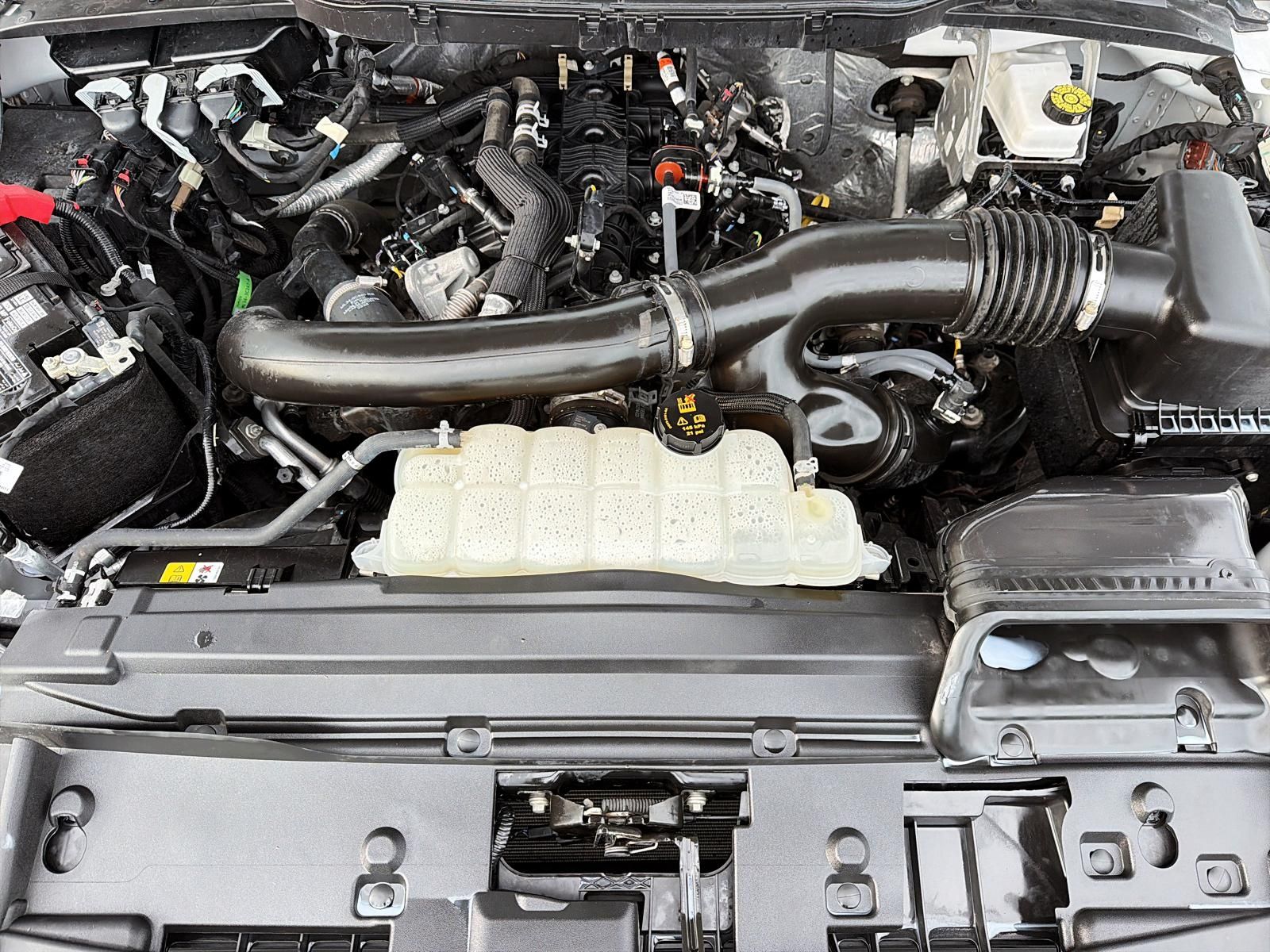 Photo 2025 Ford F-150 XLT #8