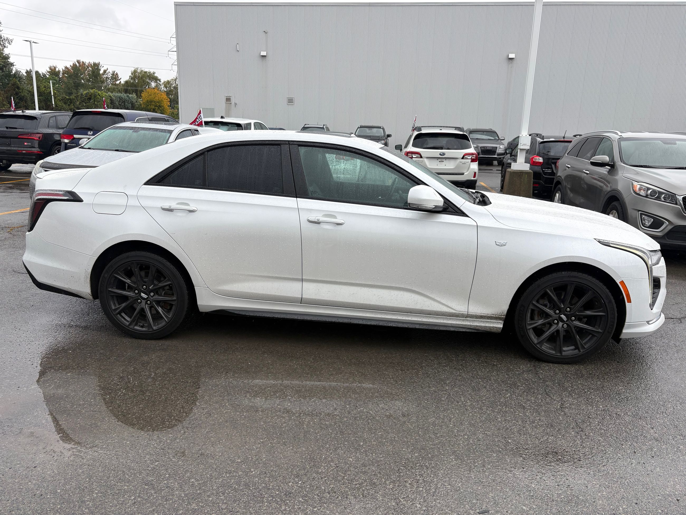 Photo Cadillac CT4 SPORT - 350T - AWD - LOADED - MINT CONDITION 2023 #4