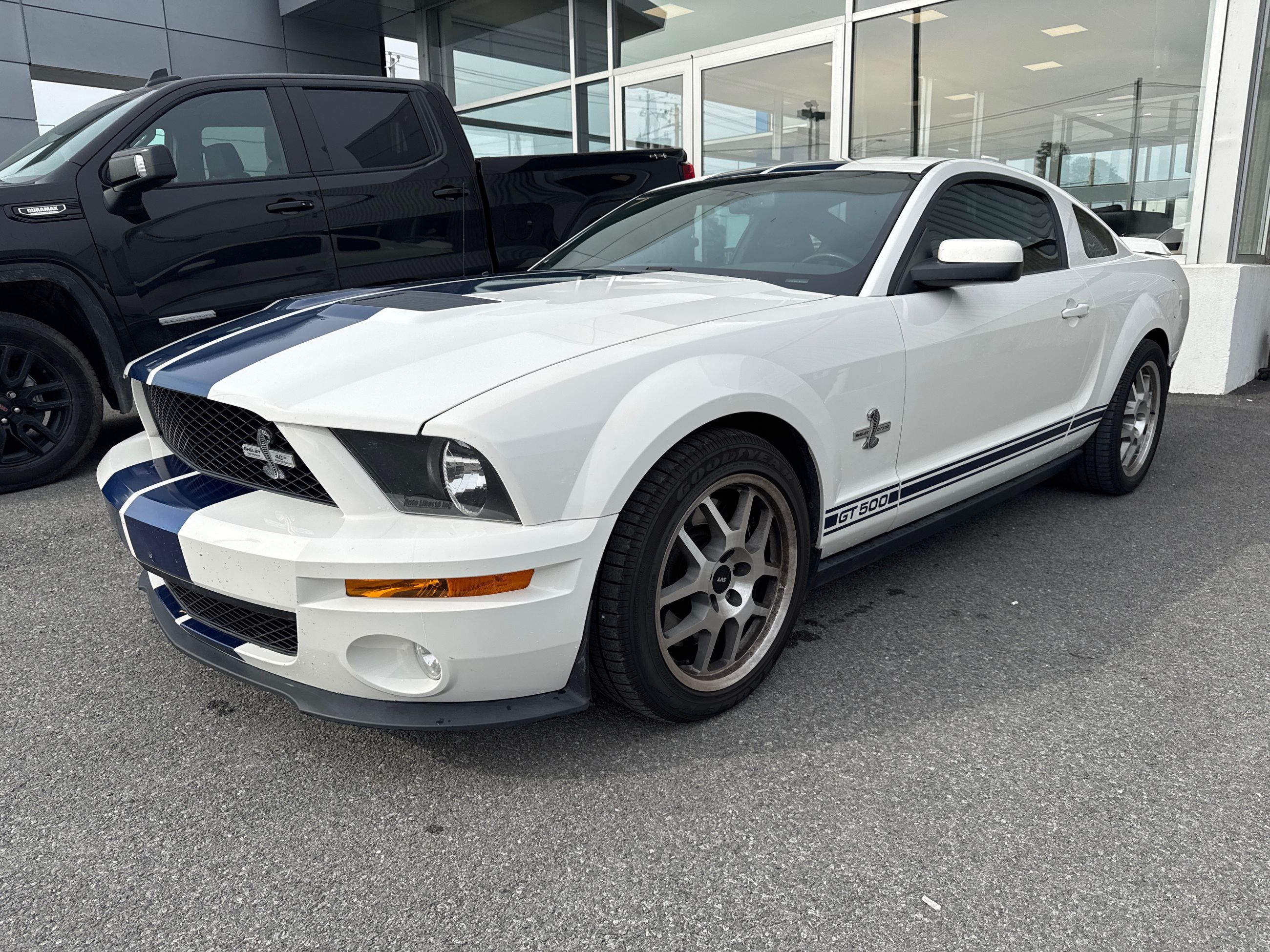 2007 Ford MUSTANG SHELBY GT500 Shelby GT500