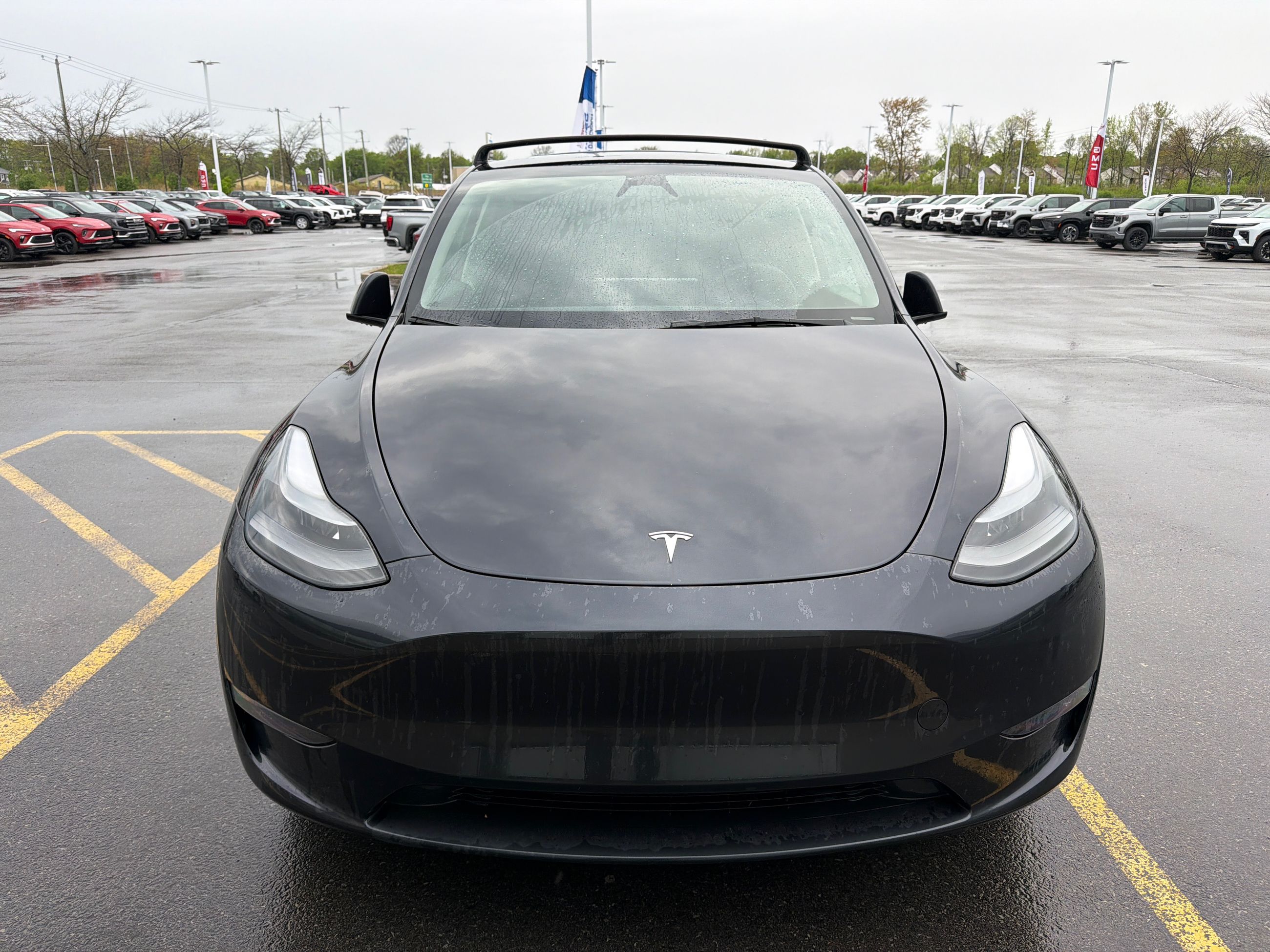2024 Tesla Model Y Long Range