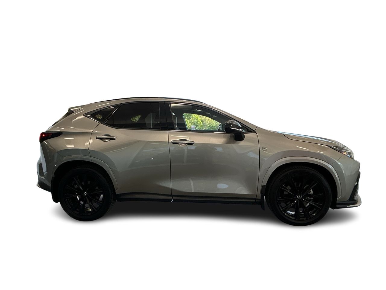 2023 Lexus NX